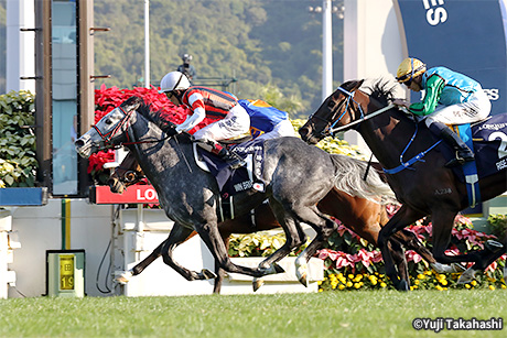 レース結果・回顧：2019年香港カップ 海外競馬発売 JRA