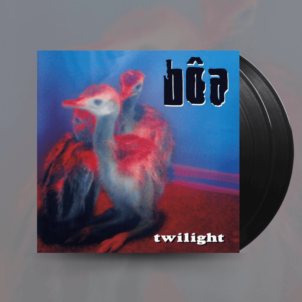 BOA - Twilight Vinyl – JWrayRecords