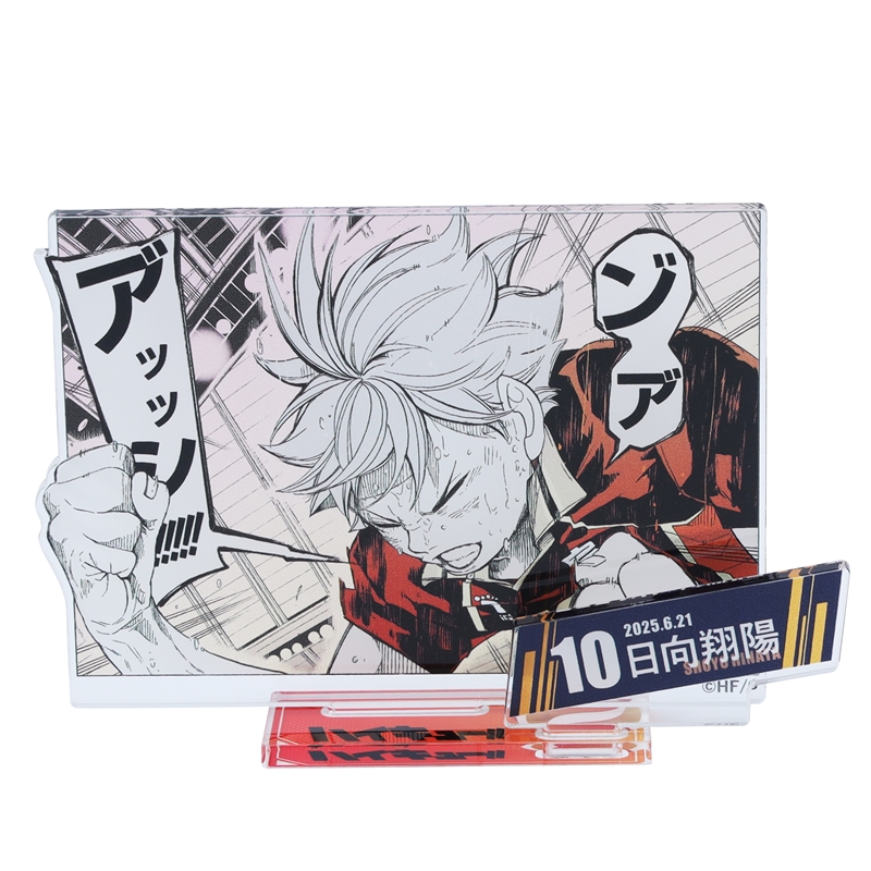 作品名/は行/ハイキュー!!/日向翔陽|集英社ジャンプキャラクターズストア