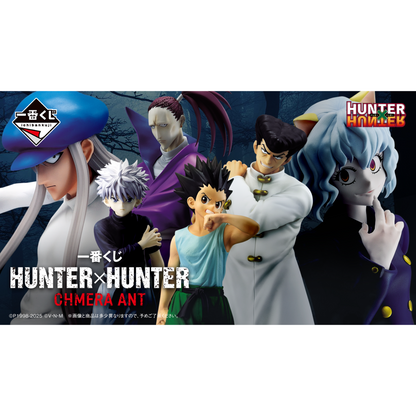 Ichiban Kuji Hunter X Hunter CHIMERA ANT - A Prize Gon Freecss