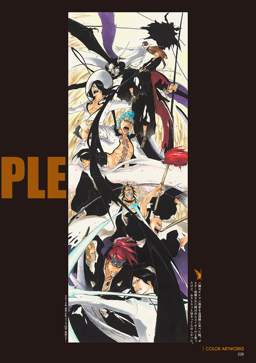 BLEACH EX. Official catalog THE BLACK BROCHURE – JumpIchiban