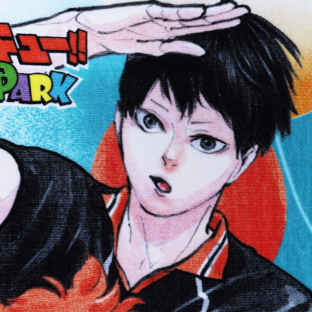 ハイキュー!!』フルカラーフェイスタオル キービジュアル ＜ハイキュー