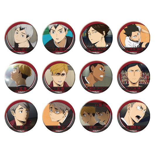 ハイキューVBC アクリルバッジコレクション 2016 ver 全種セットハイ