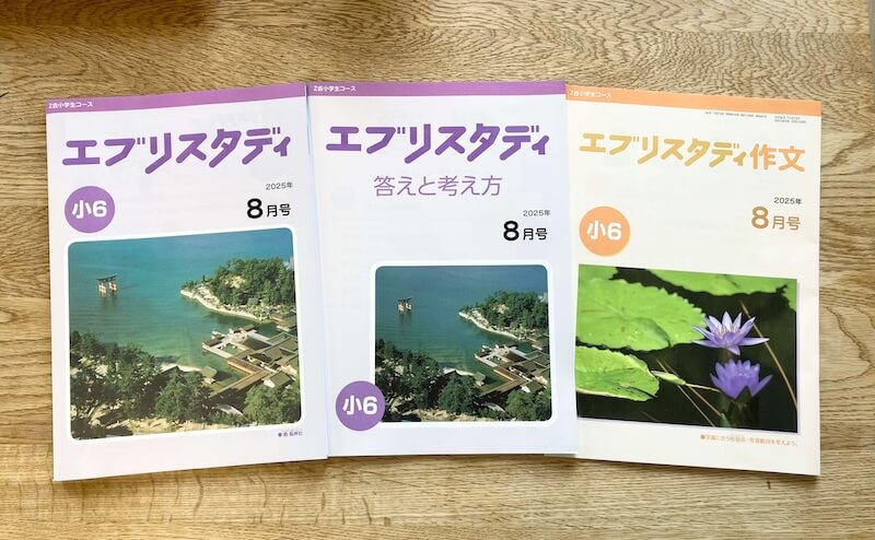 未記入】 Z会 小1 2024年8月〜2025年3月 エブリスタディ、ドリル他 未