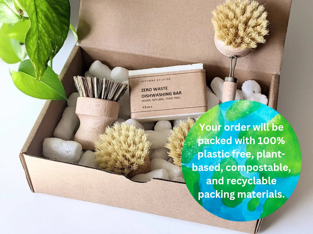 Eco-Friendly Kitchen Cleaning Brush Gift Set: Clean Green Today