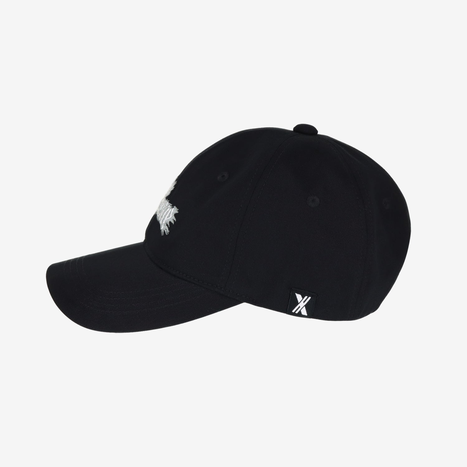 CAP / Xdinary Heroes『Japan Special Live ＜The New Xcene＞』 – JYP