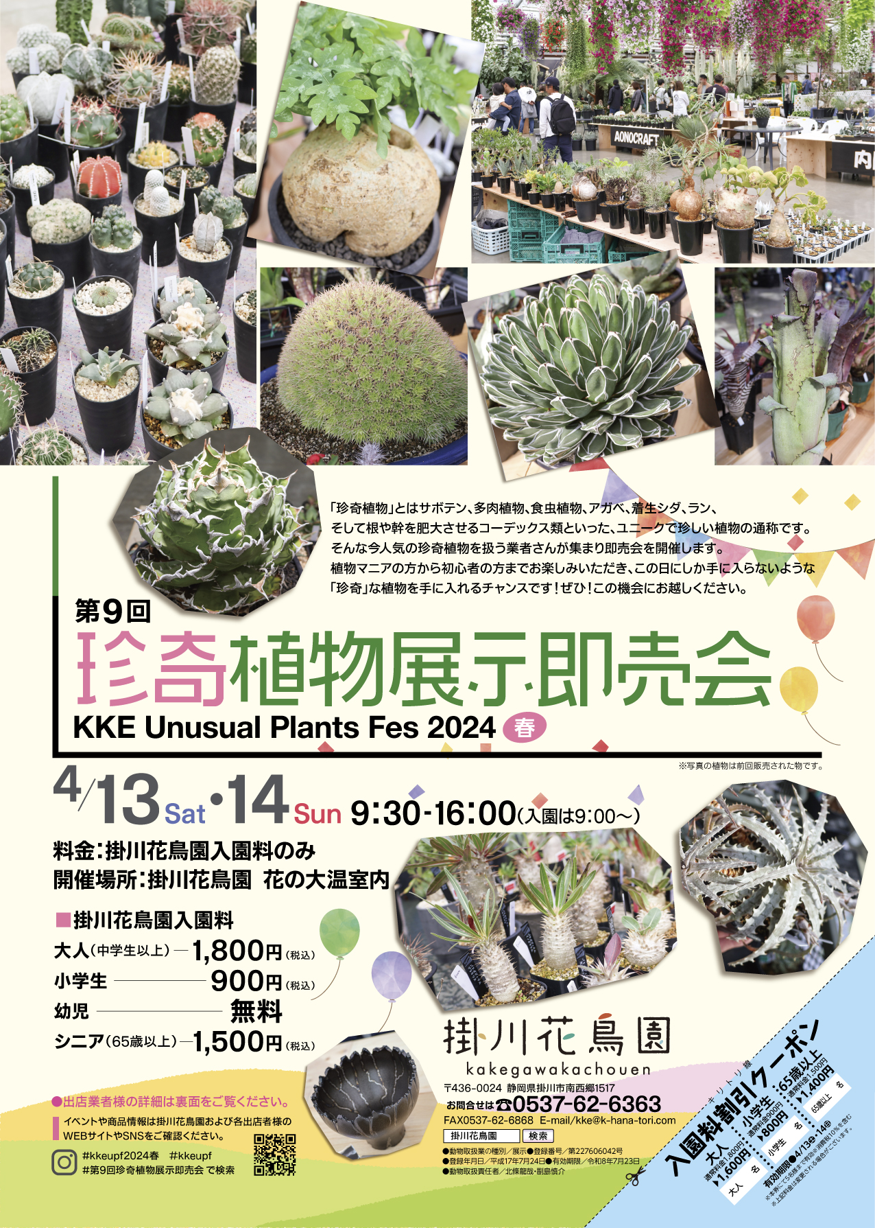 第9回 KKE Unusual Plants Fes2024 珍奇植物展示即売会 開催のお知らせ