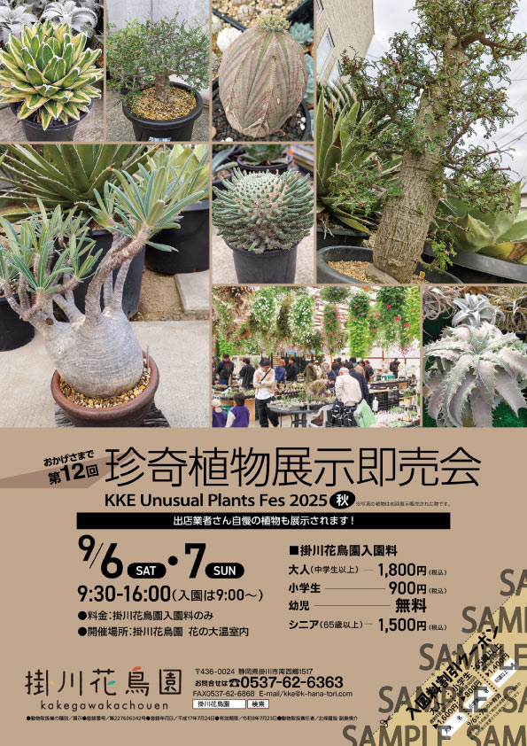 第12回 珍奇植物展示即売会 KKE Unusual Plants Fes2025秋 開催の