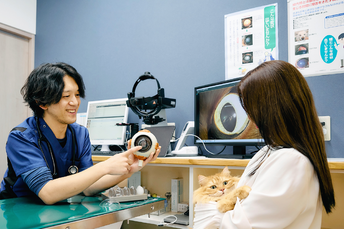 私たちのこと - ケーアイ動物クリニック｜犬猫の一般診療/眼科専門診療
