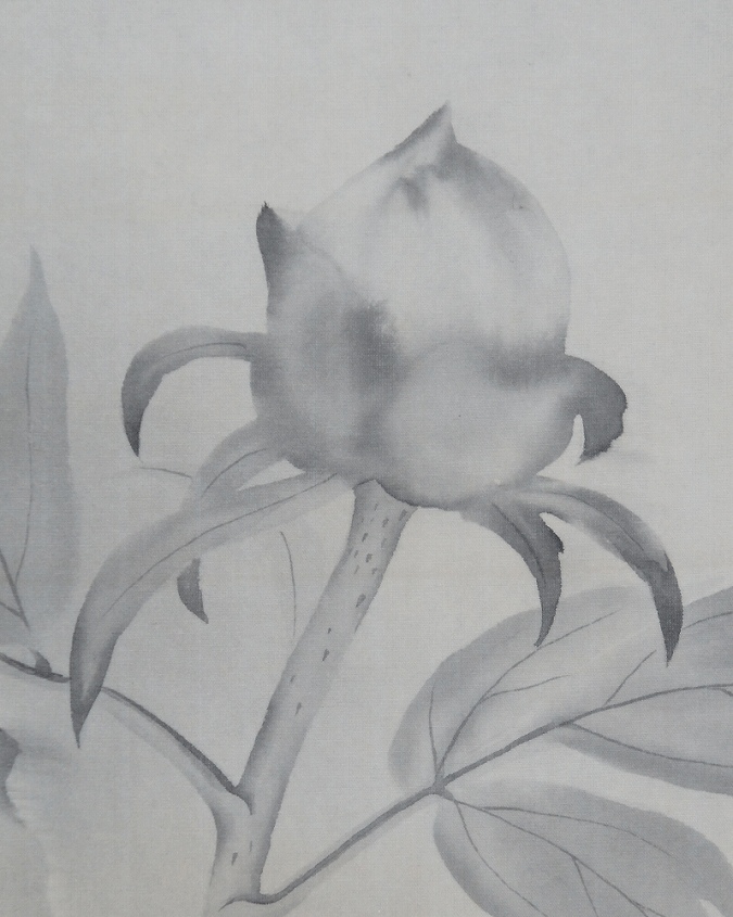 佐藤耕寛 牡丹 | 掛軸(掛け軸)販売／表装ご依頼は掛軸いっぷく掛軸