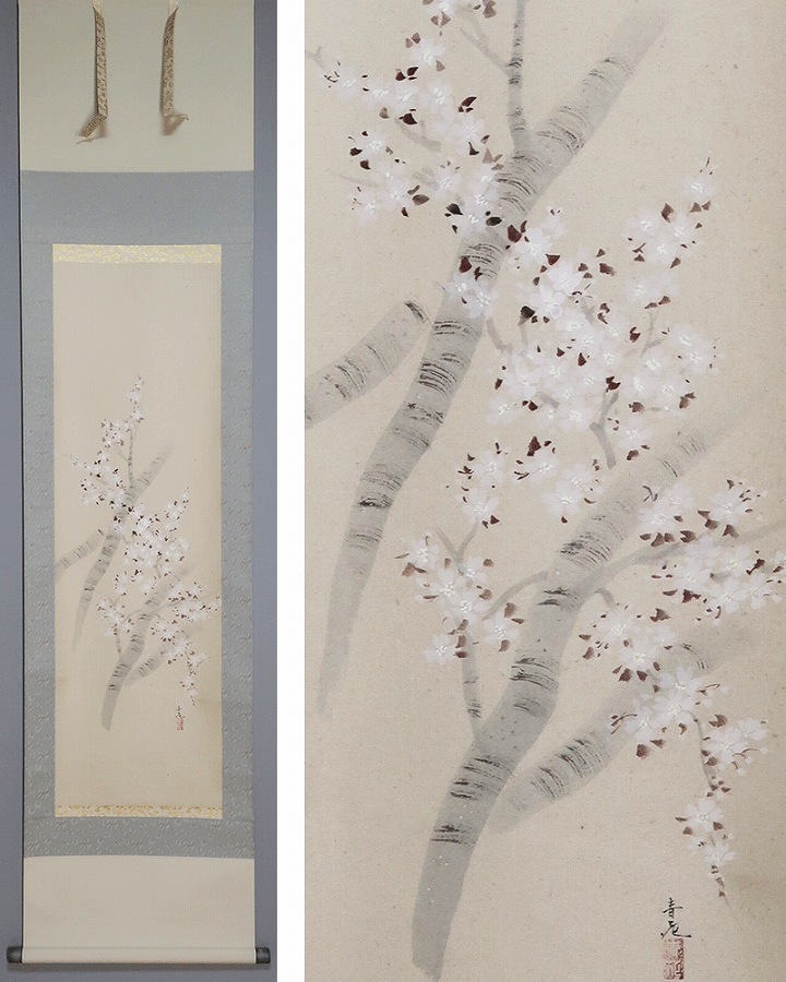 辰本青花 桜 | 掛軸(掛け軸)販売／表装ご依頼は掛軸いっぷく掛軸