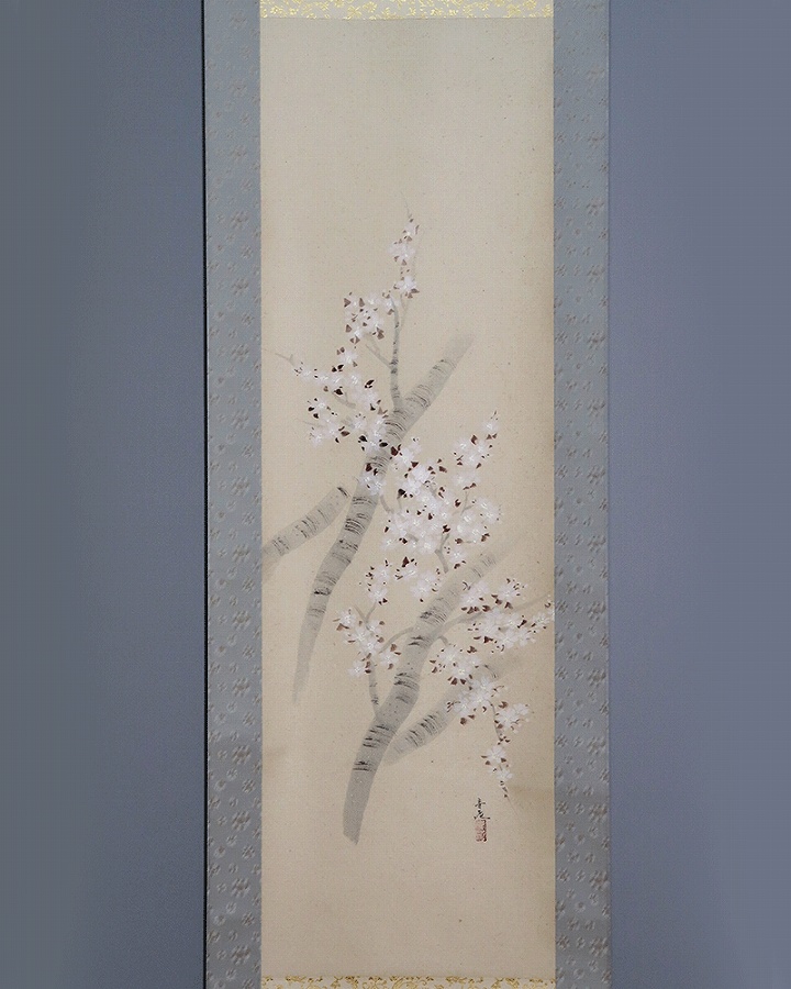 辰本青花 桜 | 掛軸(掛け軸)販売／表装ご依頼は掛軸いっぷく掛軸