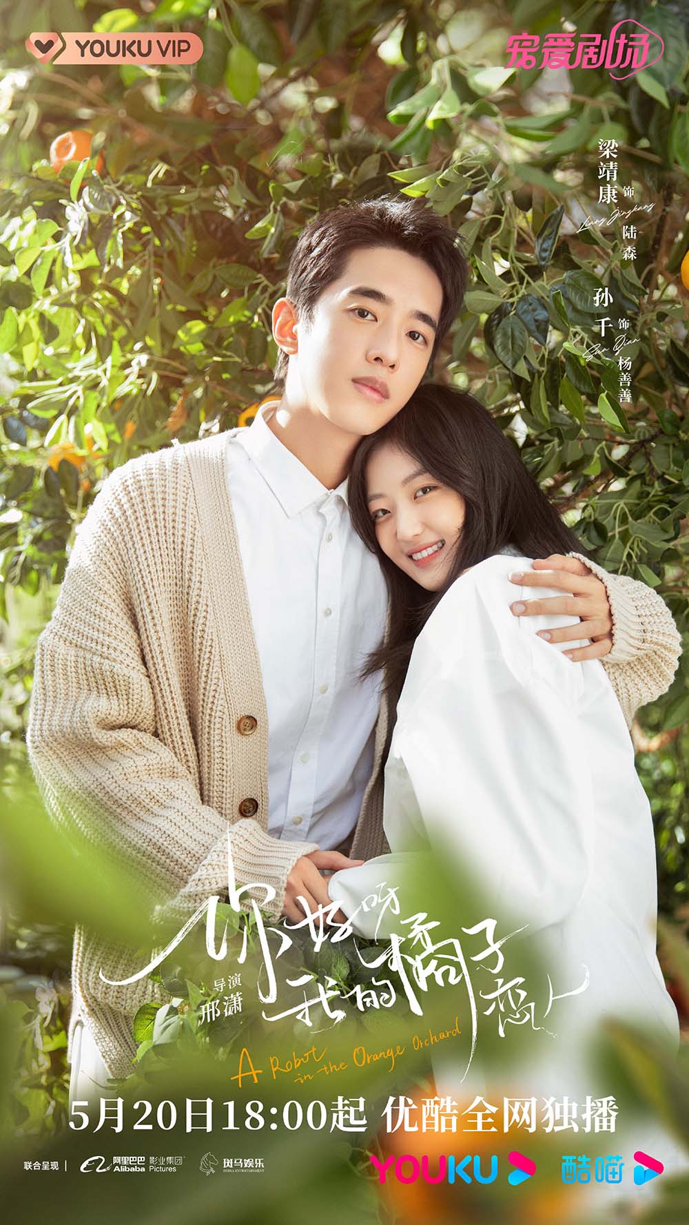 中国ドラマ【ロボットじゃない～君に恋する～】全話 DVD＆Blu-ray