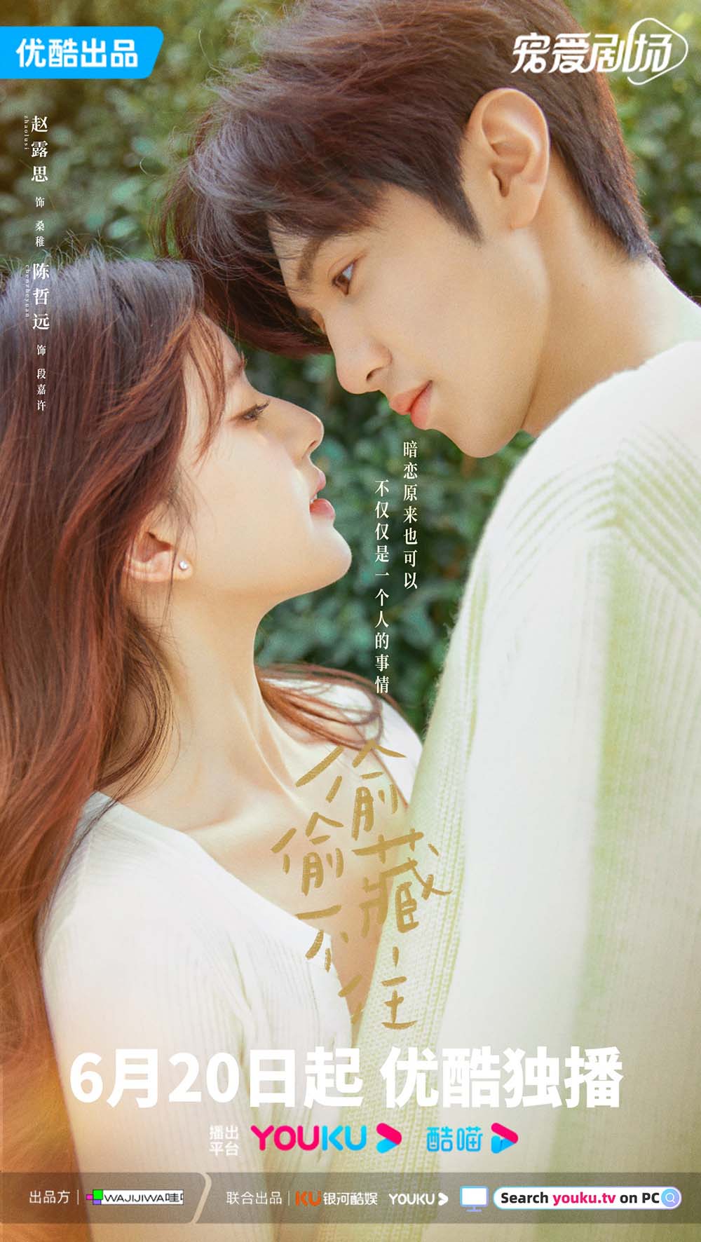 中国ドラマ【ひそかな恋模様は、曇りのち晴れ】全話 DVD＆Blu-ray