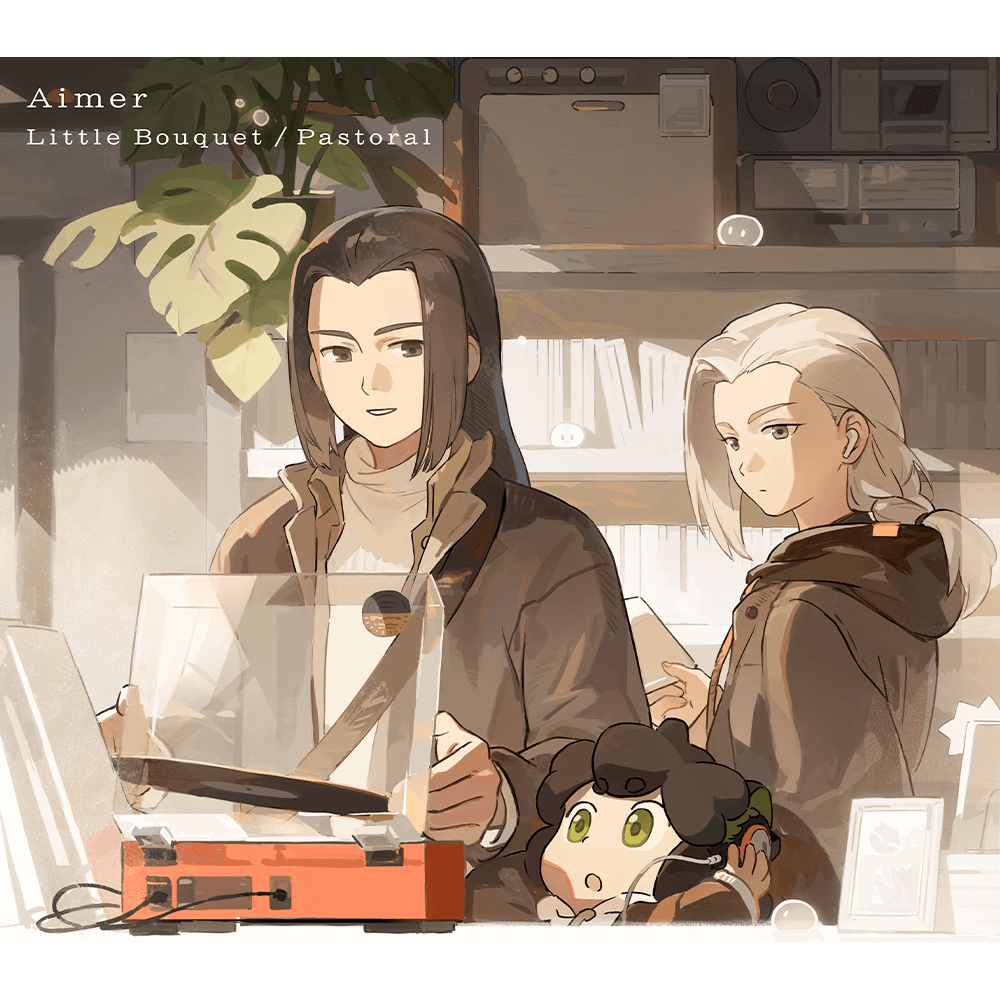 Aimer Aimer blanc & noir エメ ブランノアール 2個セット 美品 CD