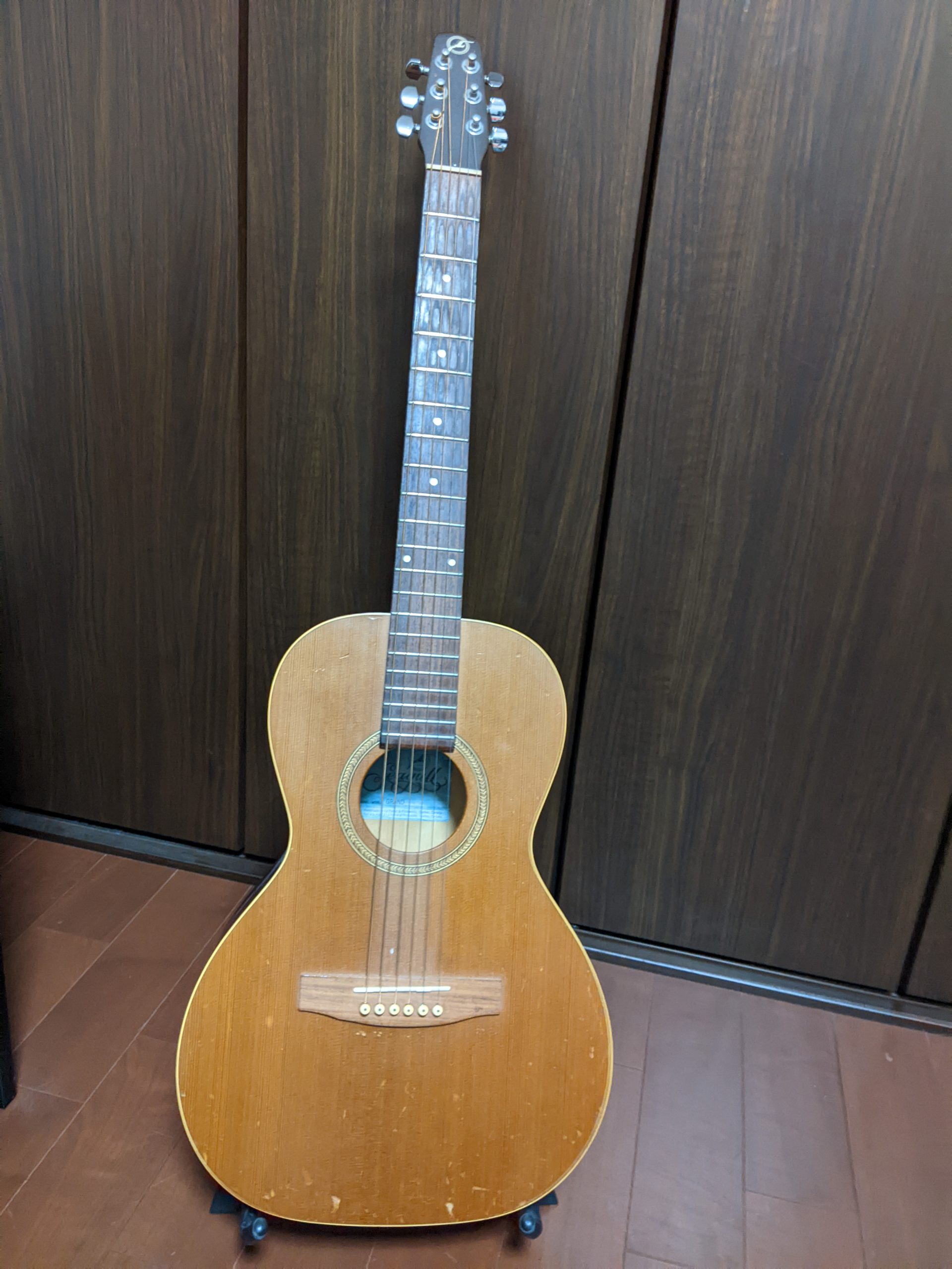 ボディが小ぶりなアコースティックギターの利点とは？（Seagull Grand) |