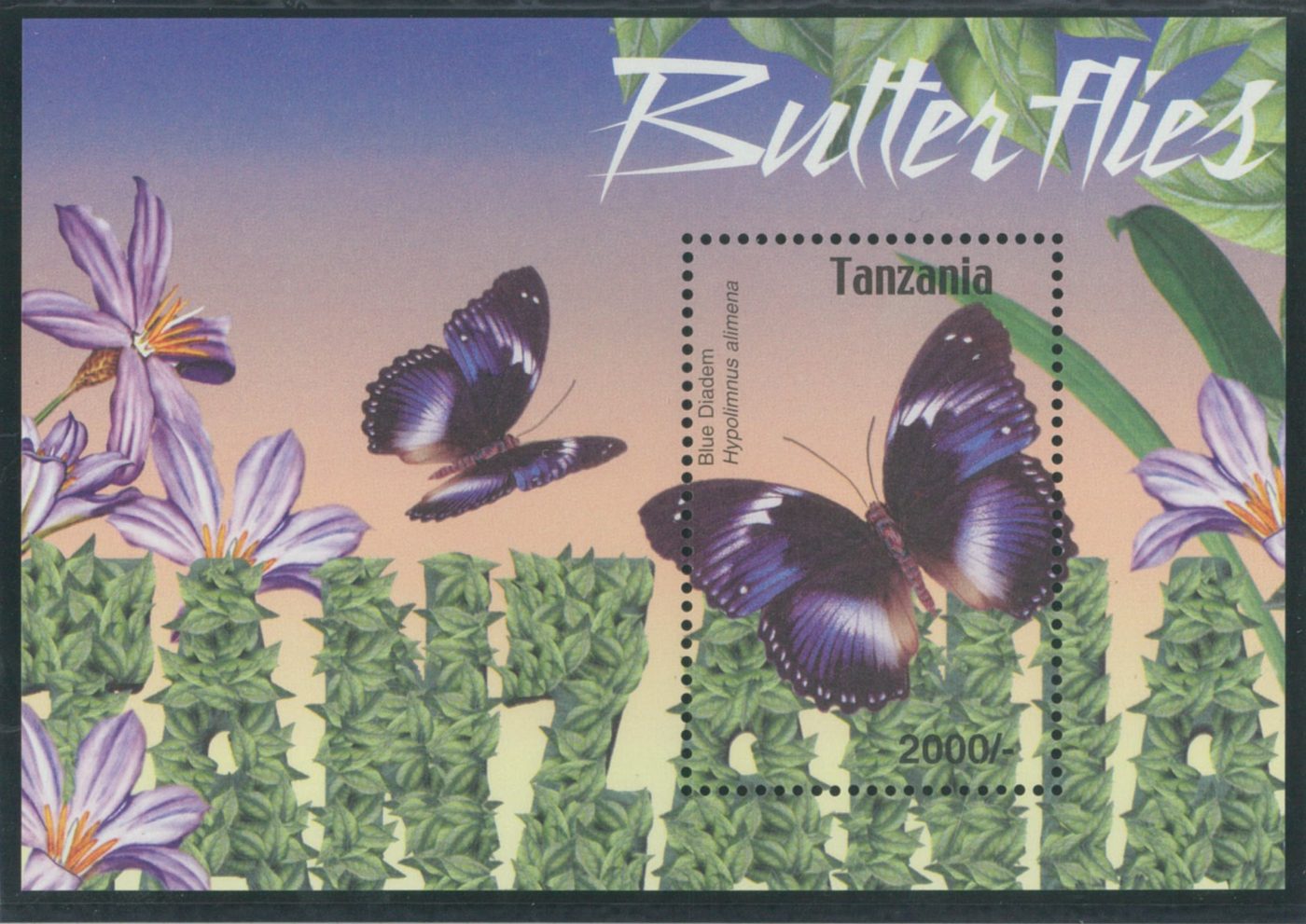 亀井昭伍切手コレクションより「アフリカの蝶切手」 | カメイ美術館