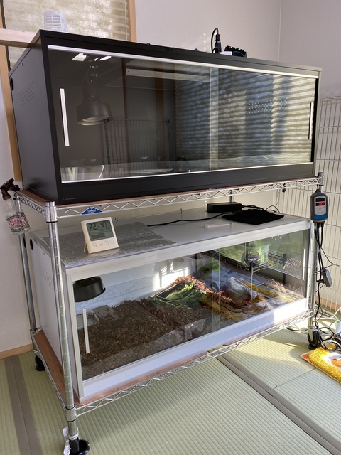 パンテオン 9045 爬虫類ケージ ハリネズミ飼育にもおすすめ パンテオン