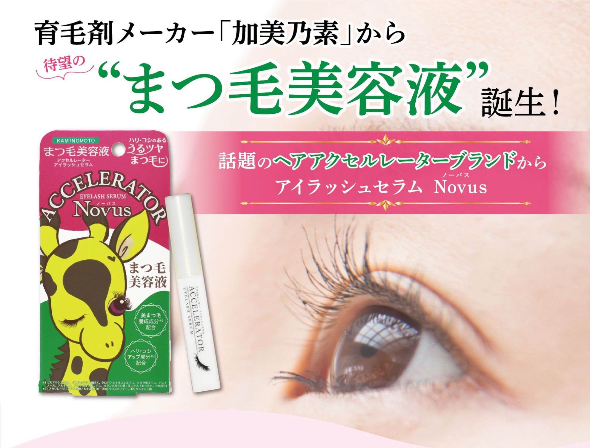 くすりの加美乃素オンラインショップ ページタイトル