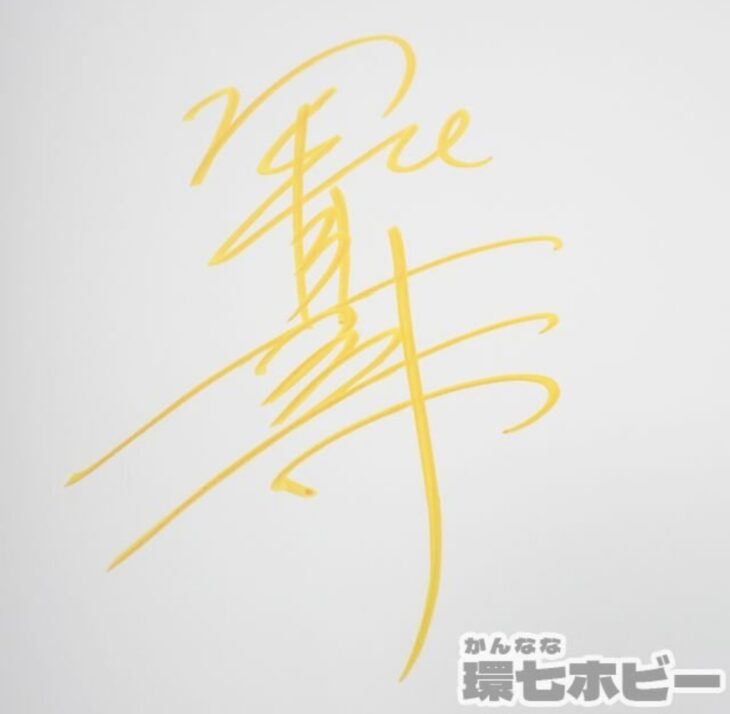 直筆サイン入り 初版 堀北真希 ほりきた進化論 帯あり 写真集 サイン本