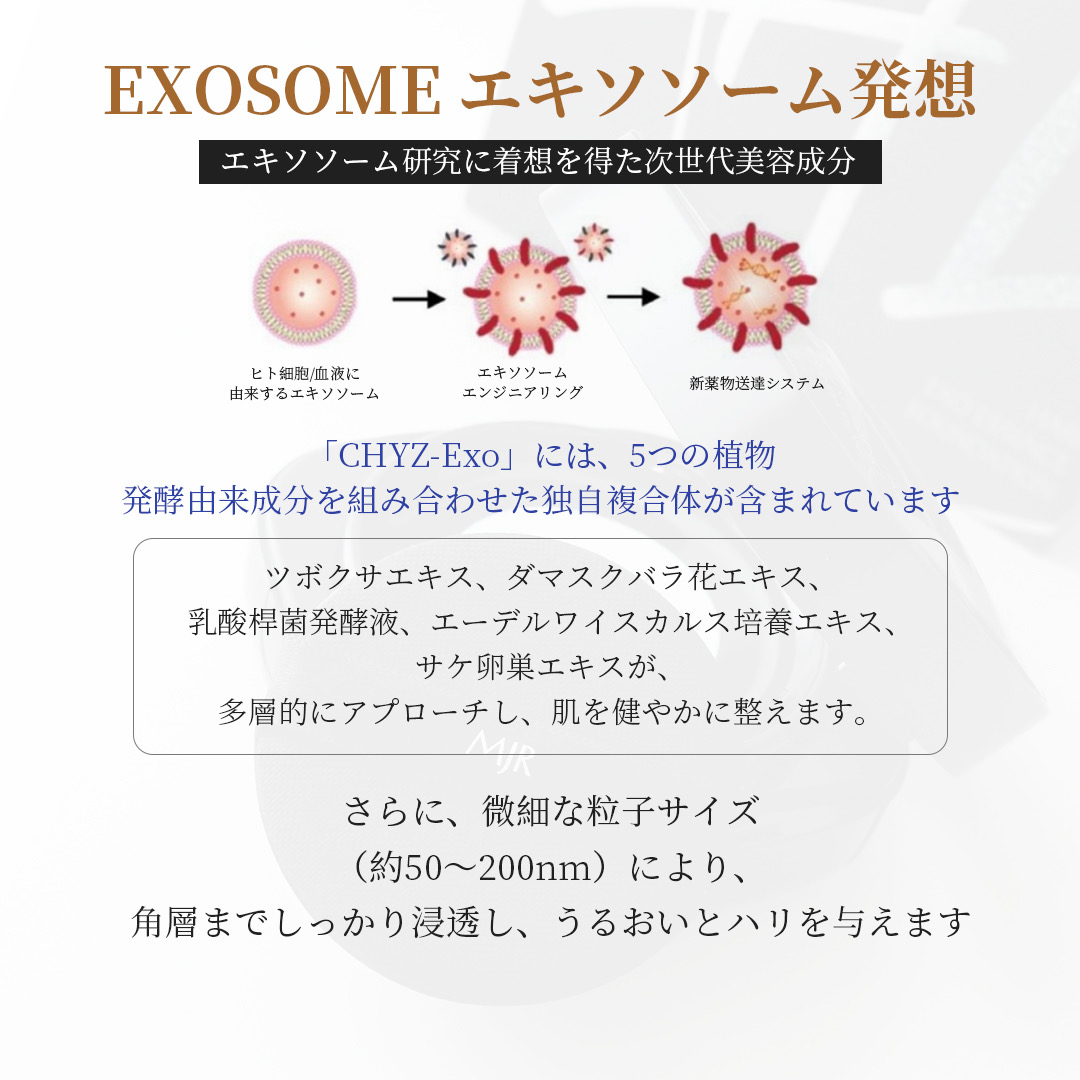 MJR Hari Exo Essence Foundation 15g | 漢和鋭興