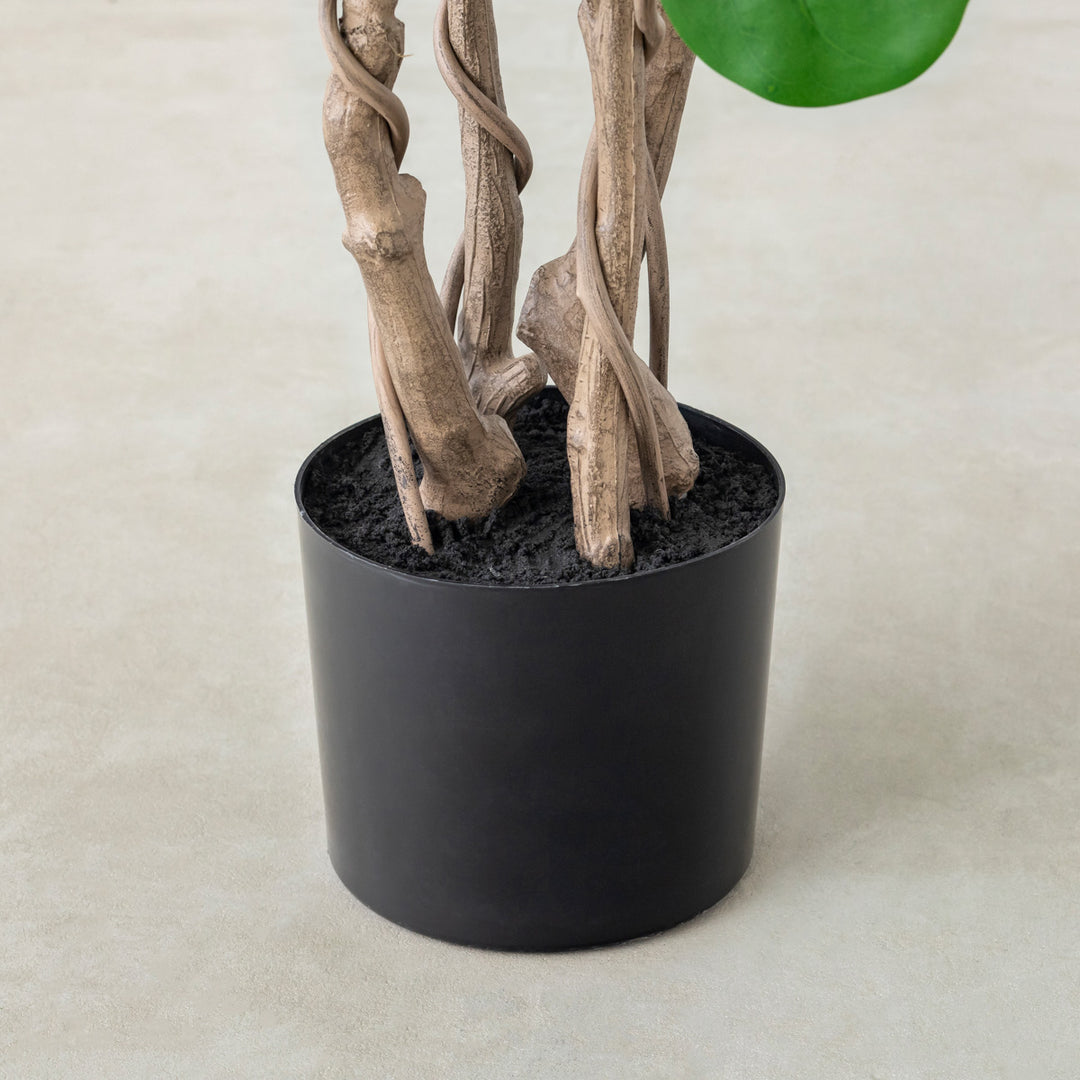 Artificial - Green フェイクグリーン シーグレープ – KANADEMONO