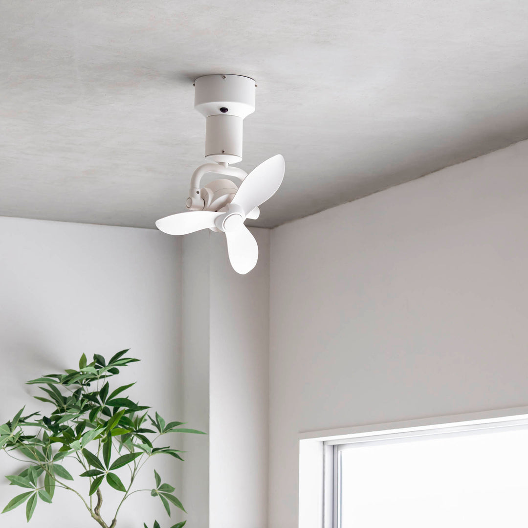 プロペラのようなフォルム シーリングファン – KANADEMONO