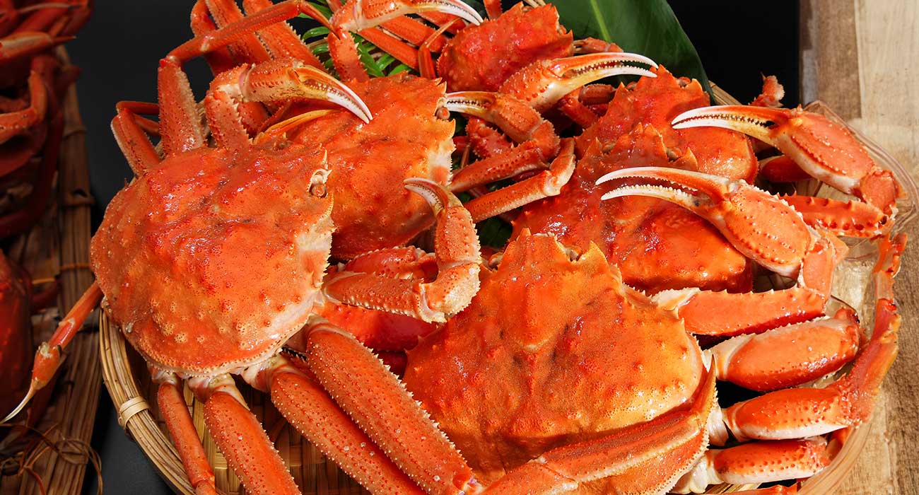 北海道産】オオズワイガニ 2kg（冷凍）販売開始！ – かねこ道具店