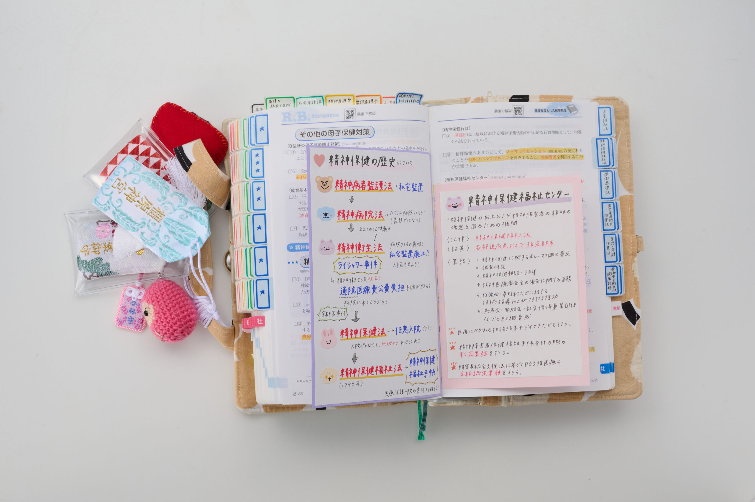 看護師 看護学生のためのレビューブック 第26版 2025 岡庭豊(看護