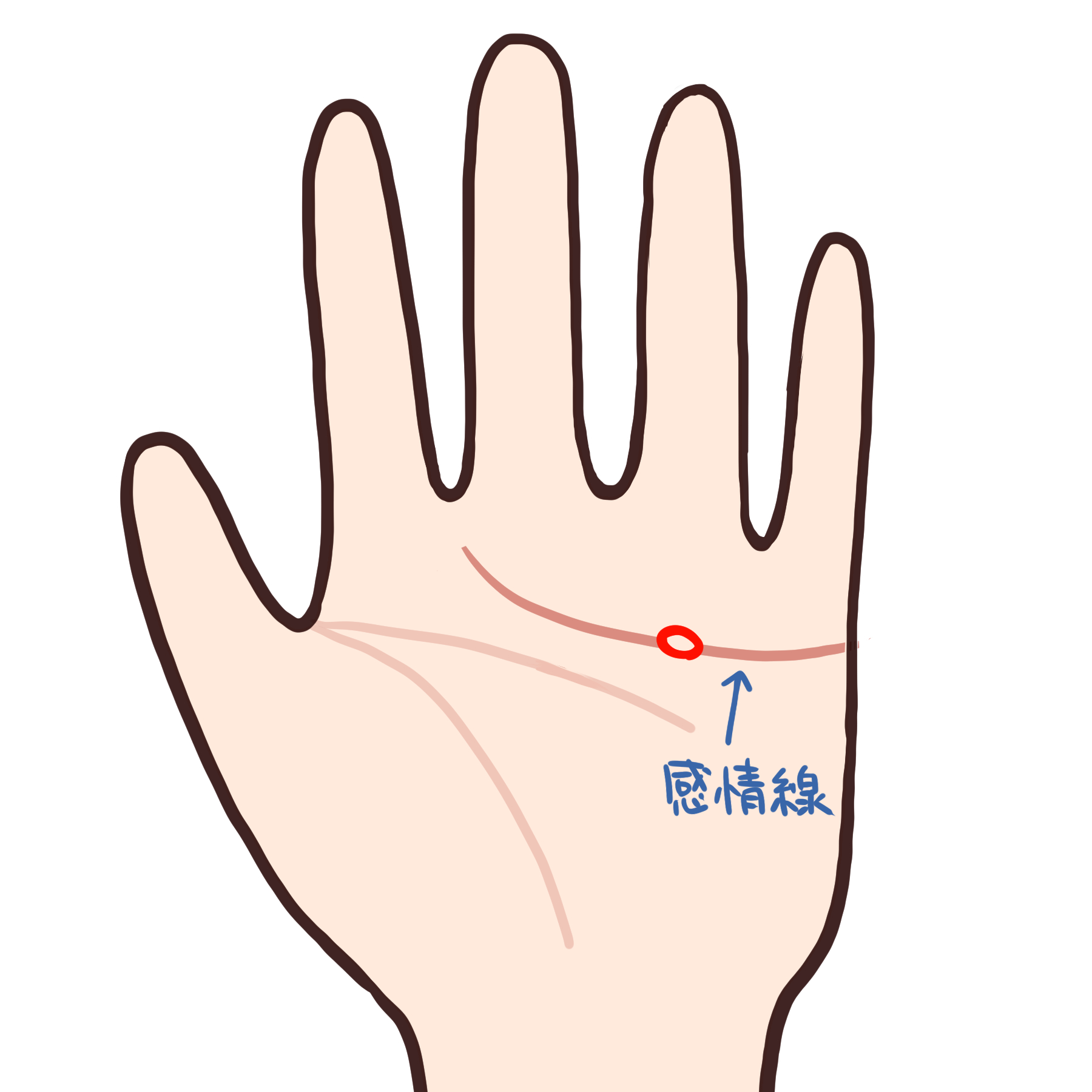 手相に“疲れグセ”が出てるかも。2025年下半期の運気を整えるヒント5つ