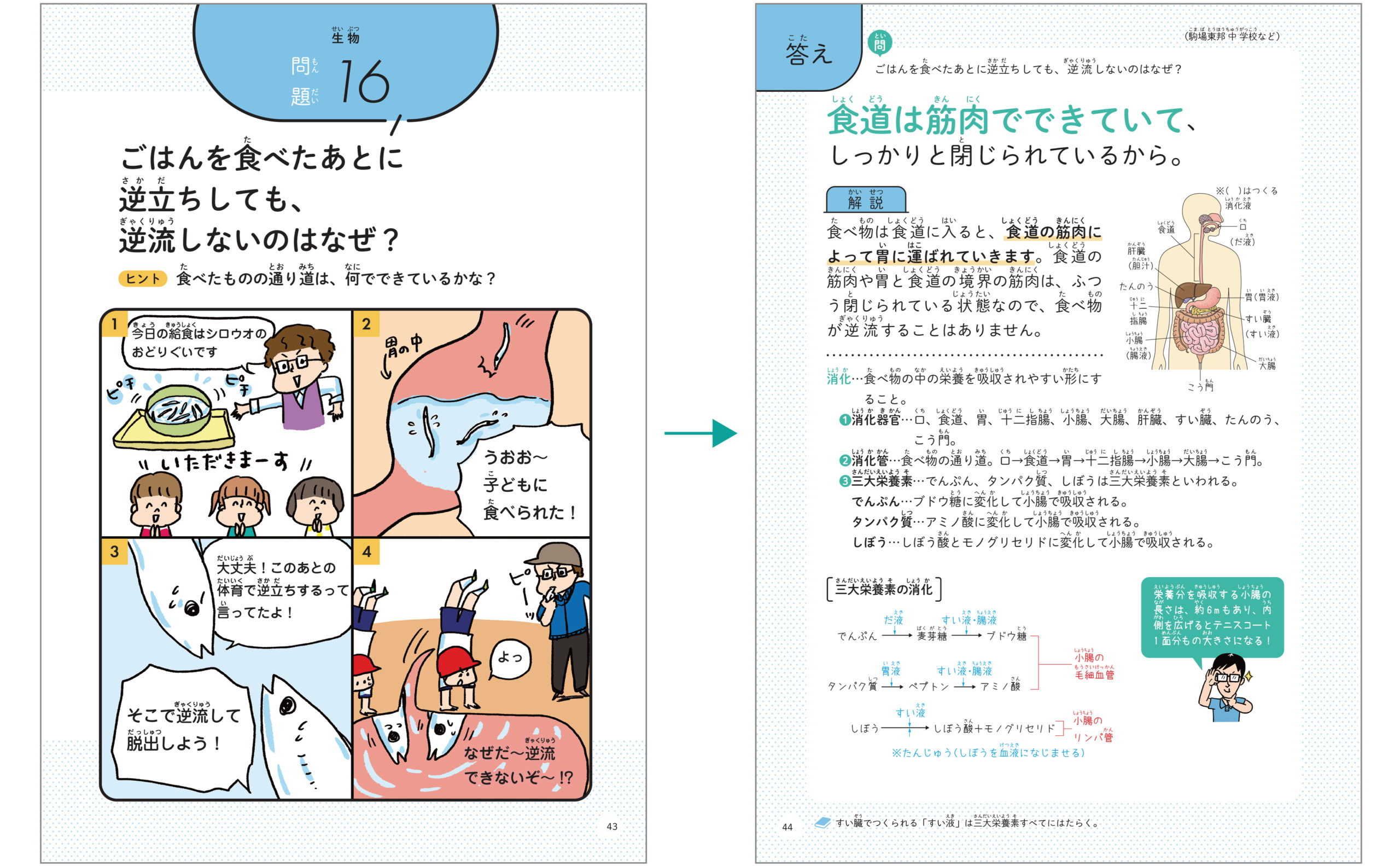 小学理科のなぜ？が1冊でしっかりわかる本 - かんき出版