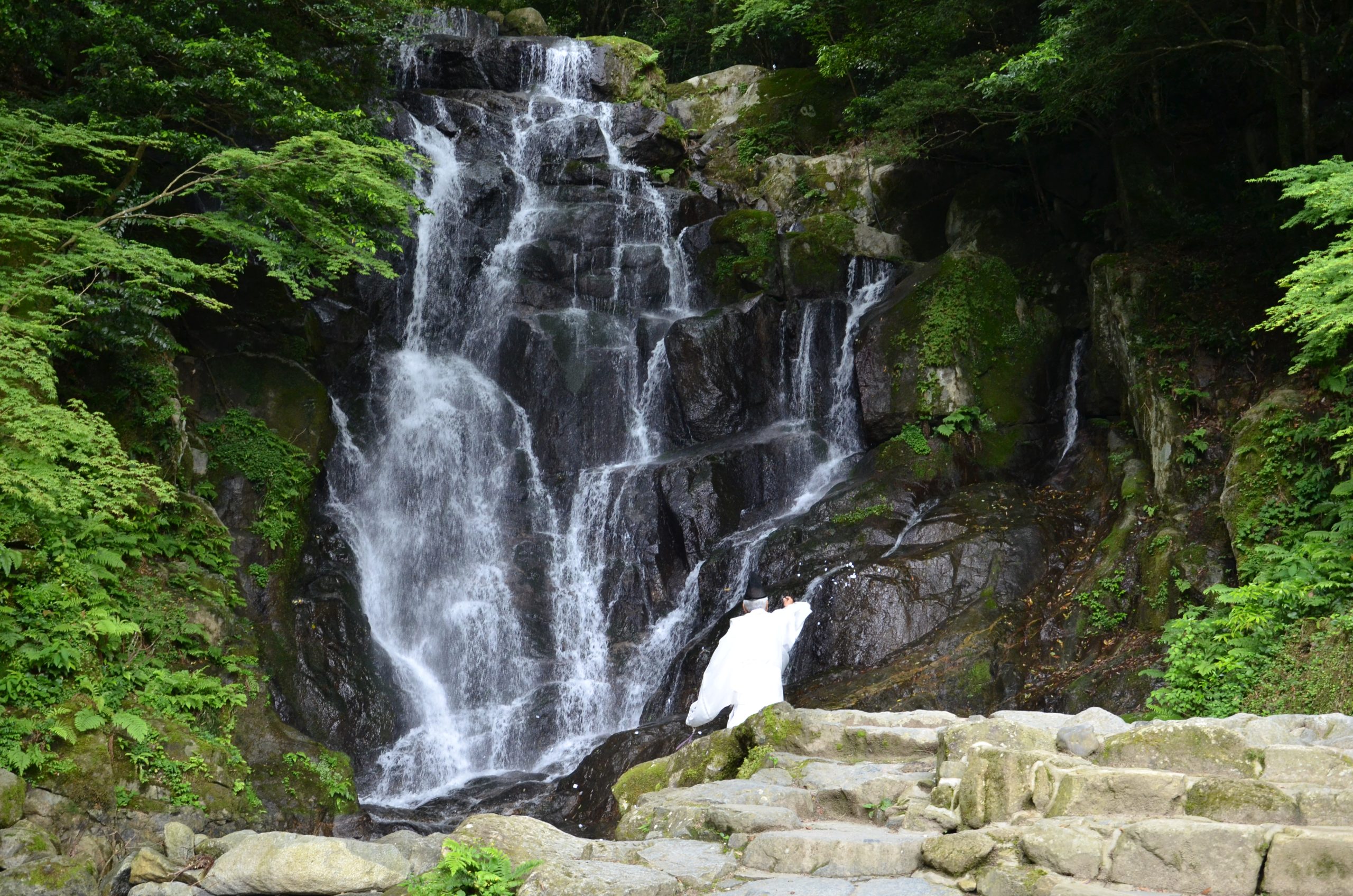 白糸の滝開き | つなぐ糸島 ｜ 糸島観光サイト produced by 糸島市観光協会