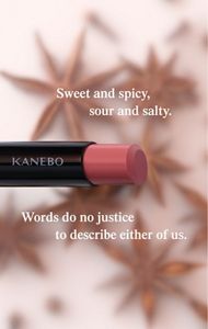 ROUGE STAR BREATHE | MAKEUP | KANEBO