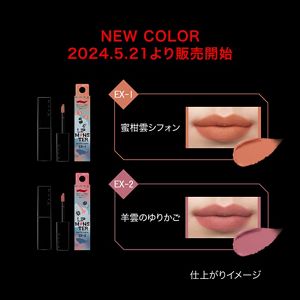 ケイト リップモンスター スフレマット EX－2 | 花王公式通販 【My