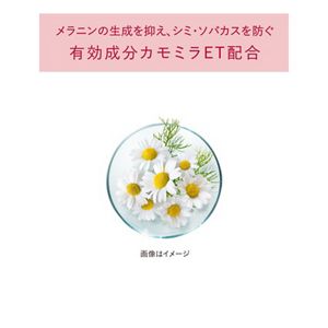 アルブラン ザ ファーストエッセンス レフィル | 花王公式通販 【My