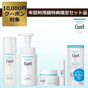 キュレル ベーシックスキンケアセット(クリーム＆リップ) | 花王公式