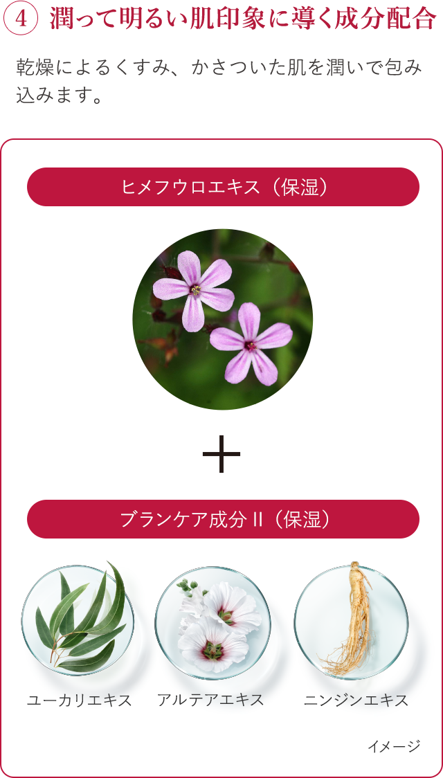 花王 ALBLANC（アルブラン） 商品情報 モーニングスイッチジュレ