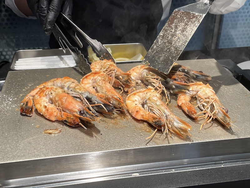 これぞ王道! バルミューダのホットプレートがテッパンすぎて笑う【老師