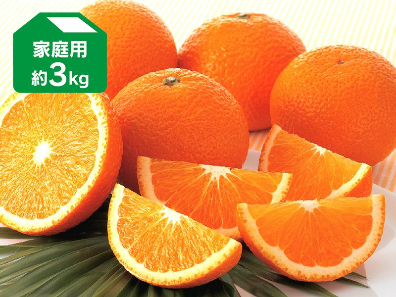 スイートスプリング約3kg | のま果樹園