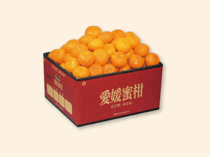 愛媛みかん9kg-家庭用 | のま果樹園