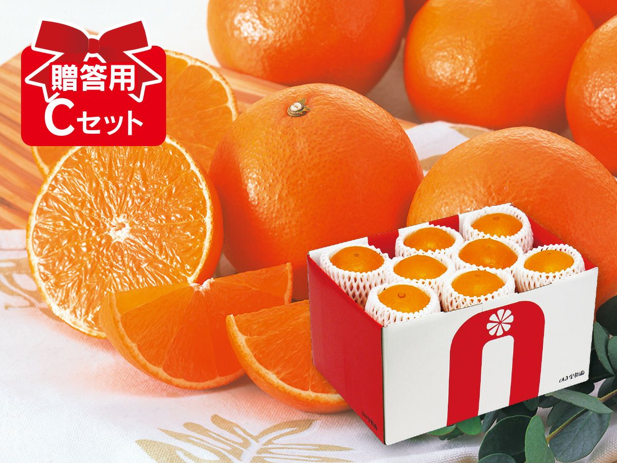 媛まどんな Cセット(10～15個前後) 贈答用 | のま果樹園