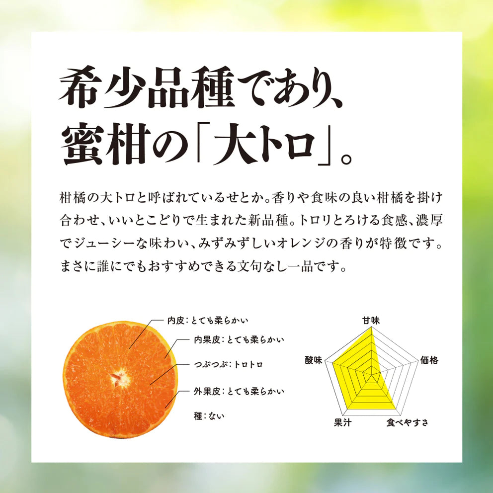 そらせとか 愛媛産みかん/大人の贅沢3kg – 果樹園そら
