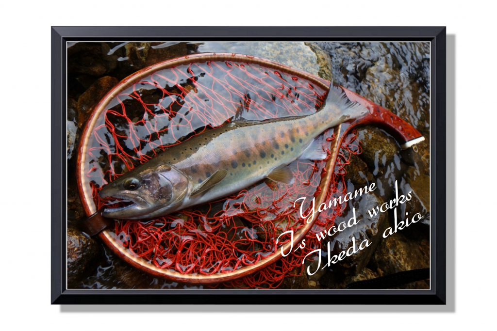 デジタルアーカイブ（魚拓） | 魚類剥製工房 かげろう