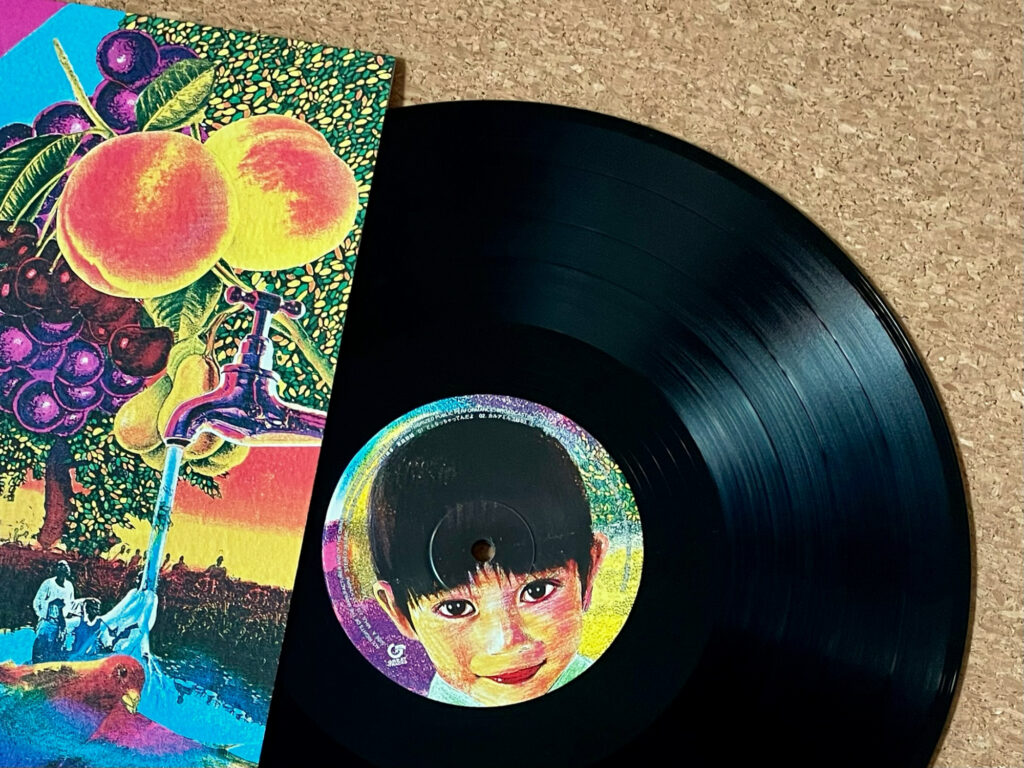 岡村靖幸の軌跡をレコードでふり返る | MIONアップサイクル