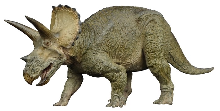 メガソフビアドバンス】 MSA-011 トリケラトプス｜メガソフビ