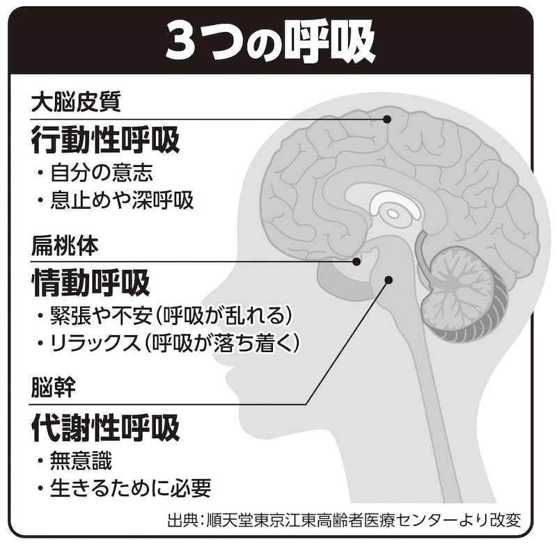 頭蓋療法と身体呼吸 マニュアルメディスン上級編 頭蓋療法から身体呼吸