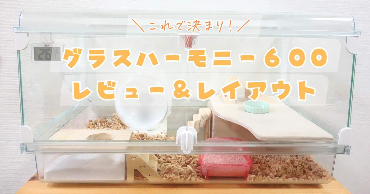 ハムスターゲージ】グラスハーモニー600レビュー＆レイアウト | ハナノイエ
