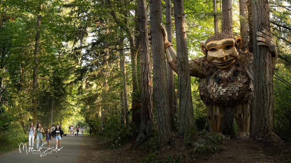 The massive trolls that brought wonder to western Washington in 2023