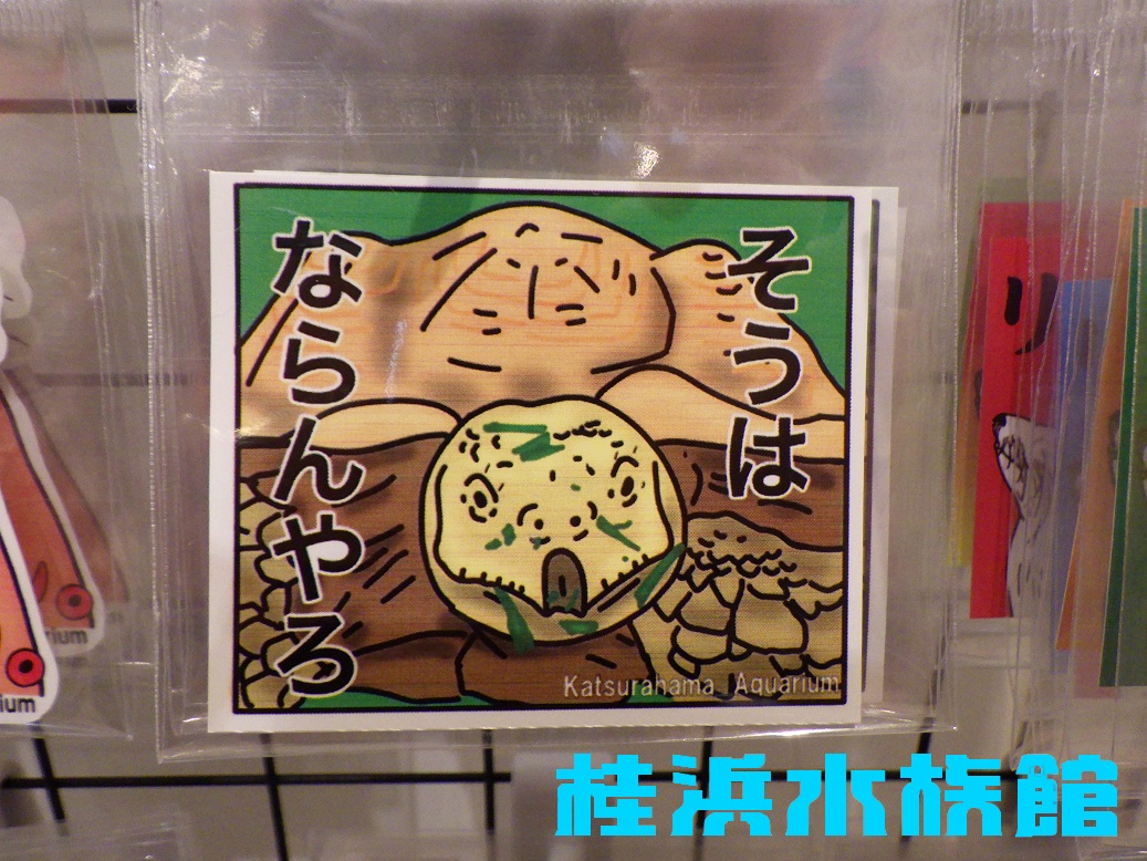 桂浜水族館マリンストア】ハマスイ好きもスイゾク好きもスタッフ好きも