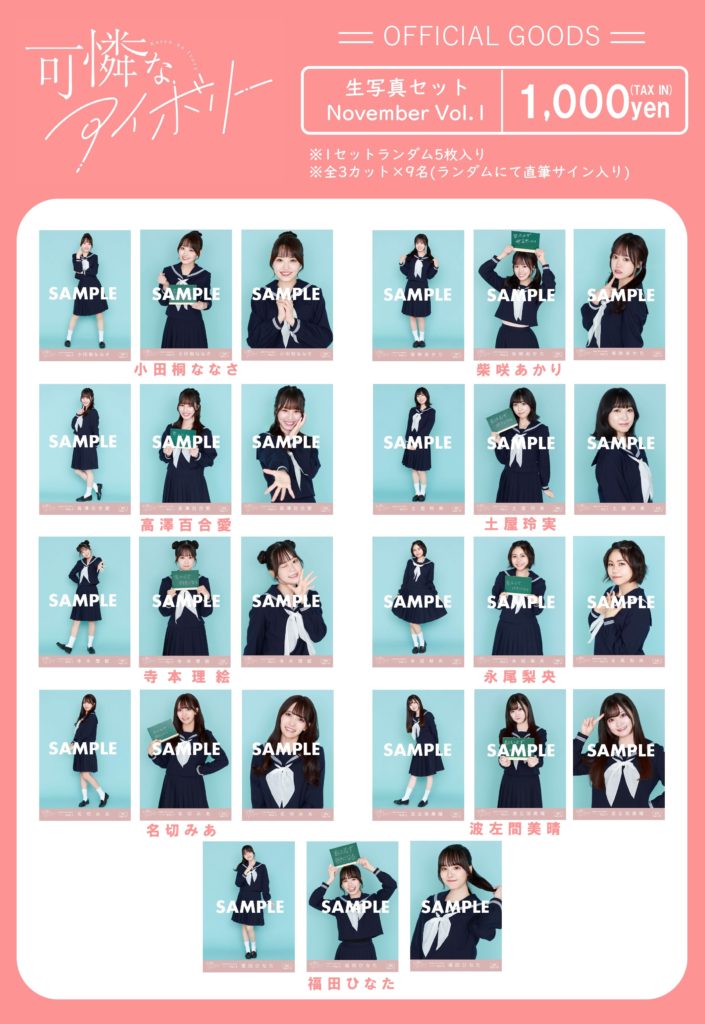 可憐なアイボリー A2 ポスター メンバー全員の直筆サイン入り 限定品